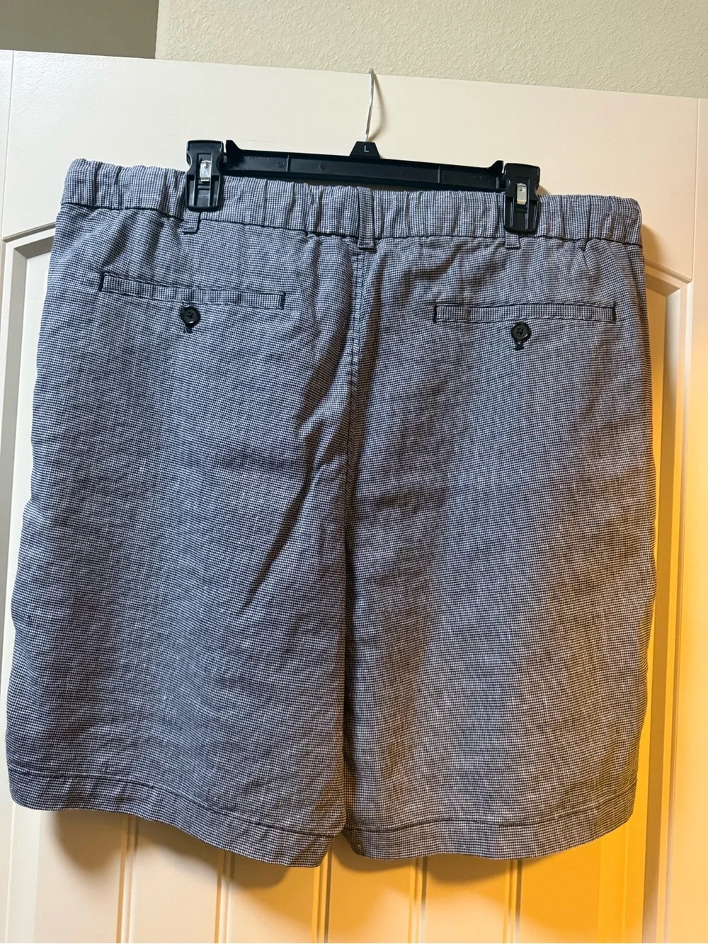 Banana Republic Navy and White Aiden Short